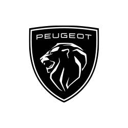 Peugeot Akü